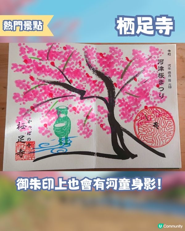 河津櫻2025🌸5大熱門景點一次看！4公里櫻花隧道仲有70年樹齡原木😍附櫻花祭詳細時間/地圖/交通資訊🚗