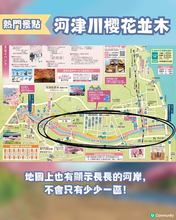 河津櫻2025🌸5大熱門景點一次看！4公里櫻花隧道仲有70年樹齡原木😍附櫻花祭詳細時間/地圖/交通資訊🚗