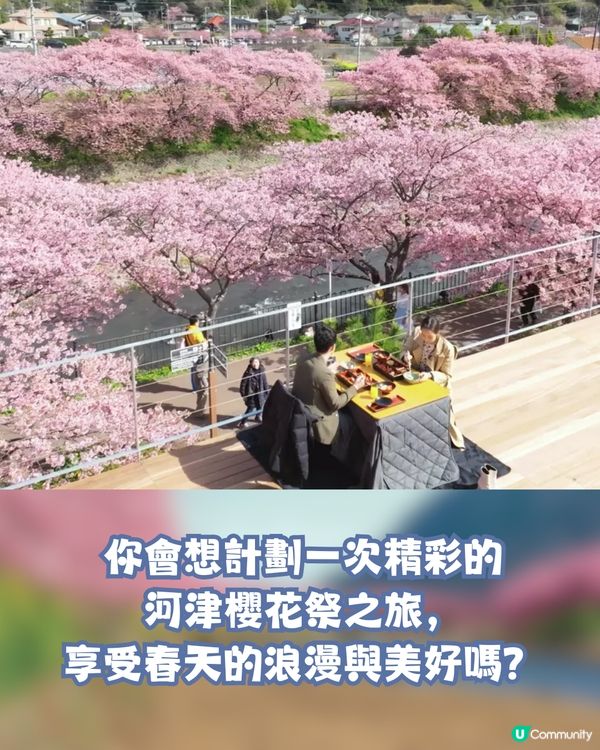 河津櫻2025🌸5大熱門景點一次看！4公里櫻花隧道仲有70年樹齡原木😍附櫻花祭詳細時間/地圖/交通資訊🚗