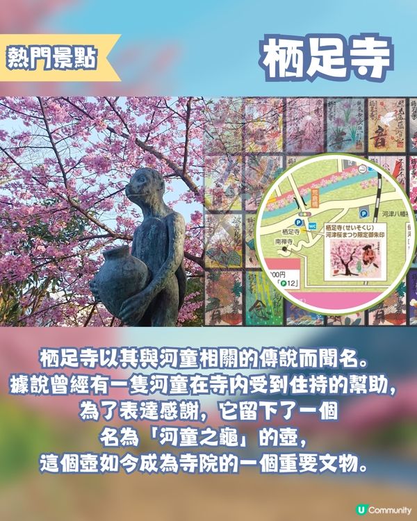 河津櫻2025🌸5大熱門景點一次看！4公里櫻花隧道仲有70年樹齡原木😍附櫻花祭詳細時間/地圖/交通資訊🚗