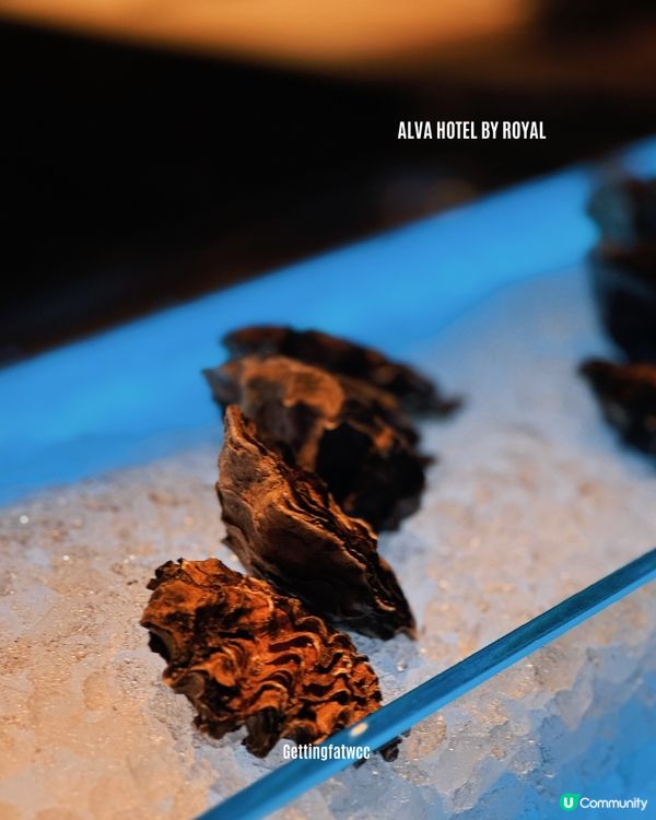 可樂主題自助餐 🍾🥂 食住玩！