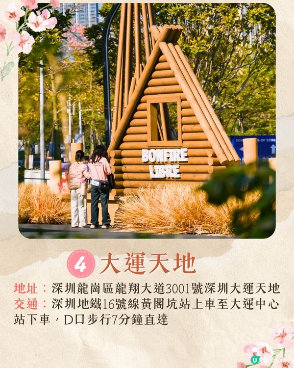 深圳龍崗區秋冬打卡一日遊攻略🍁唯美落羽杉林/古堡教堂/文青藝術街區🚗附交通資訊!