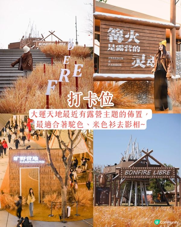 深圳龍崗區秋冬打卡一日遊攻略🍁唯美落羽杉林/古堡教堂/文青藝術街區🚗附交通資訊!