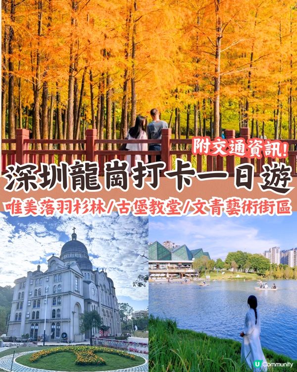 深圳龍崗區秋冬打卡一日遊攻略🍁唯美落羽杉林/古堡教堂/文青藝術街區🚗附交通資訊!