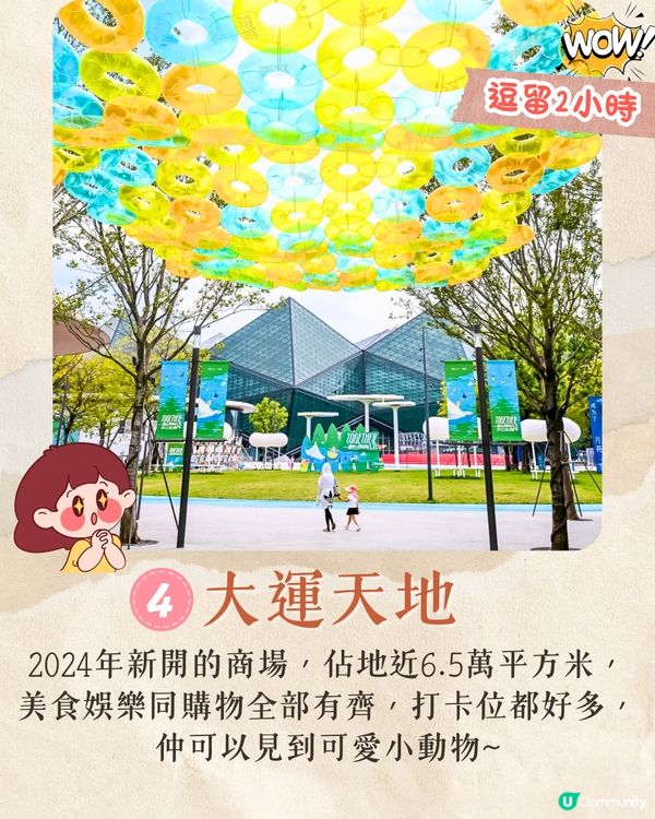 深圳龍崗區秋冬打卡一日遊攻略🍁唯美落羽杉林/古堡教堂/文青藝術街區🚗附交通資訊!