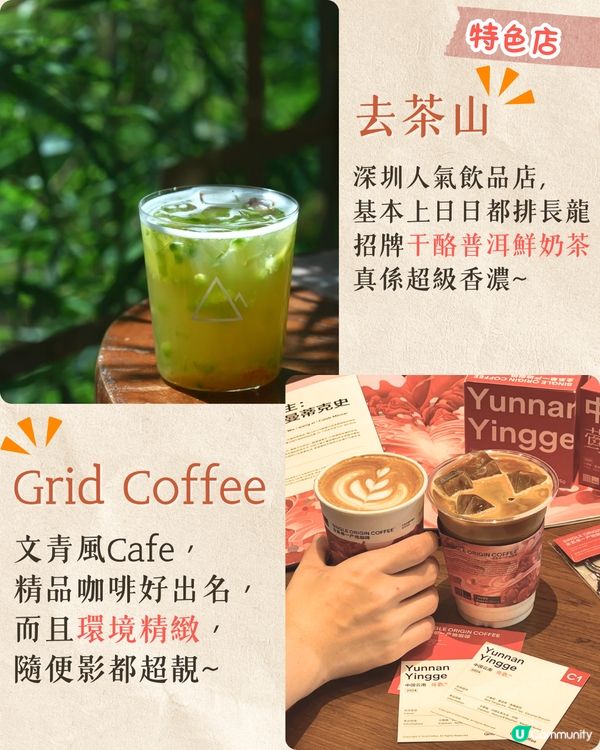 深圳龍崗區秋冬打卡一日遊攻略🍁唯美落羽杉林/古堡教堂/文青藝術街區🚗附交通資訊!