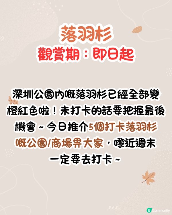 最後召集📣深圳落羽杉5大推介📸近2公里樹林/商場隱藏打卡位‼️