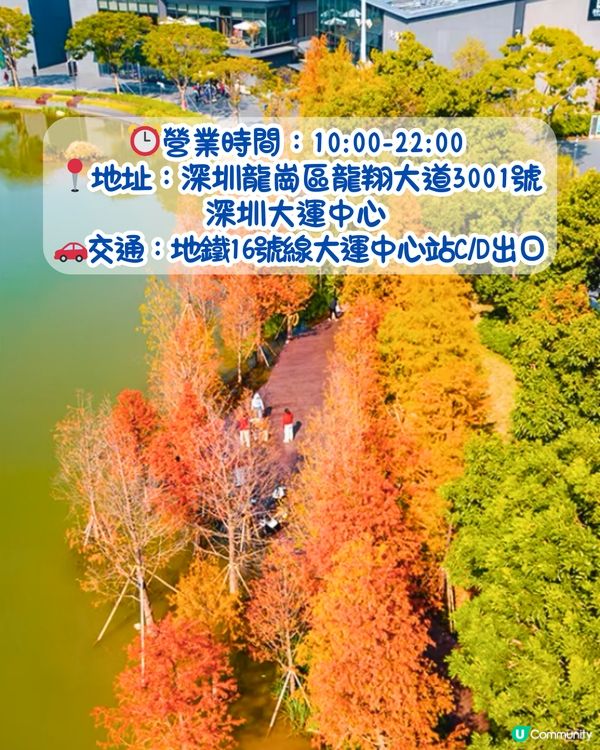 最後召集📣深圳落羽杉5大推介📸近2公里樹林/商場隱藏打卡位‼️