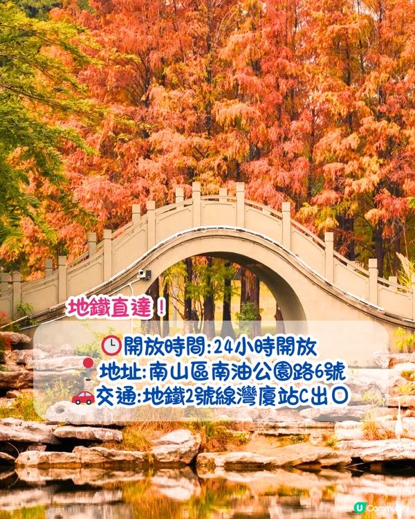 最後召集📣深圳落羽杉5大推介📸近2公里樹林/商場隱藏打卡位‼️