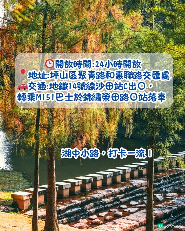 最後召集📣深圳落羽杉5大推介📸近2公里樹林/商場隱藏打卡位‼️