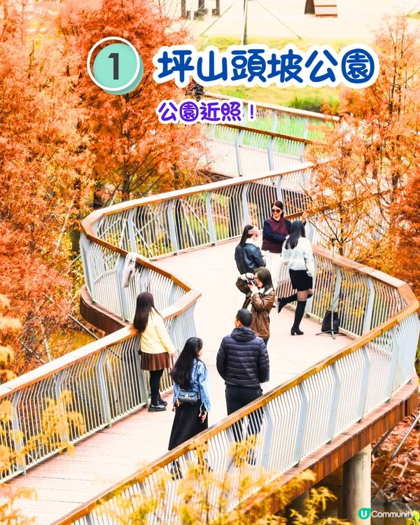 最後召集📣深圳落羽杉5大推介📸近2公里樹林/商場隱藏打卡位‼️