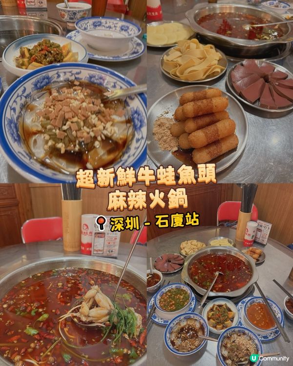 超新鮮牛蛙魚頭麻辣火鍋