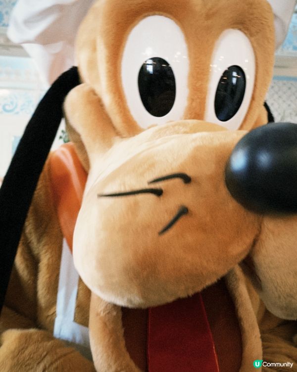 迪士尼童話式自助餐✨💕