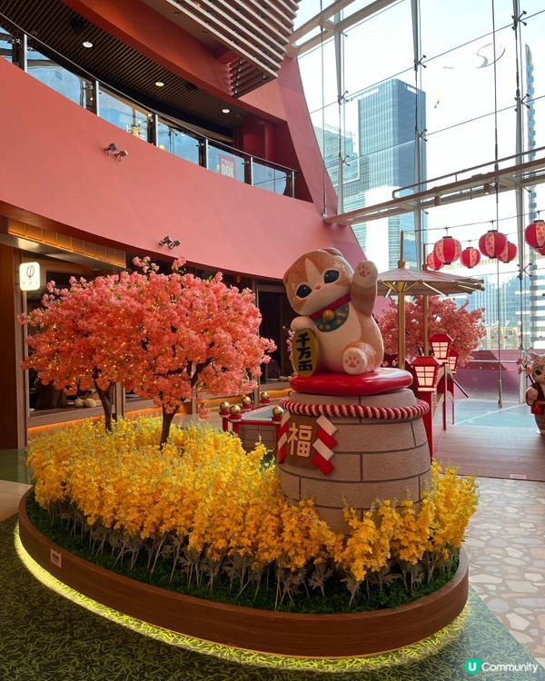 Megabox 福貓花見駅😍😍