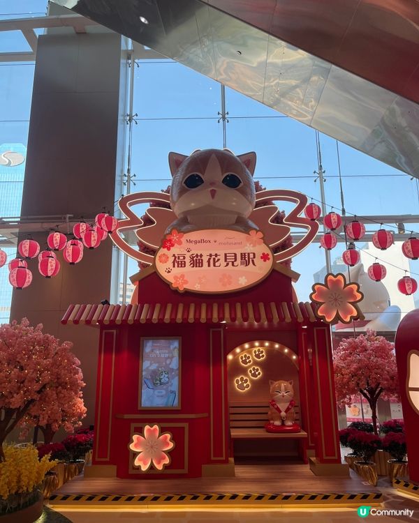 Megabox 福貓花見駅😍😍