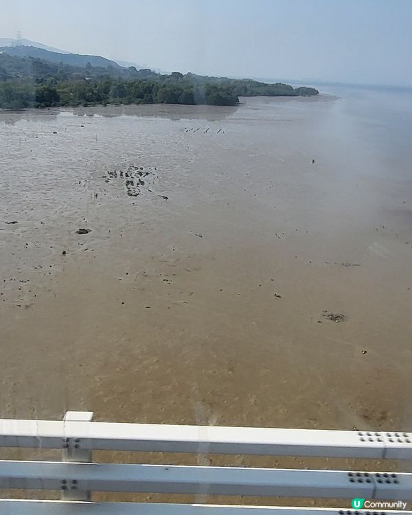 深圳灣公路大橋