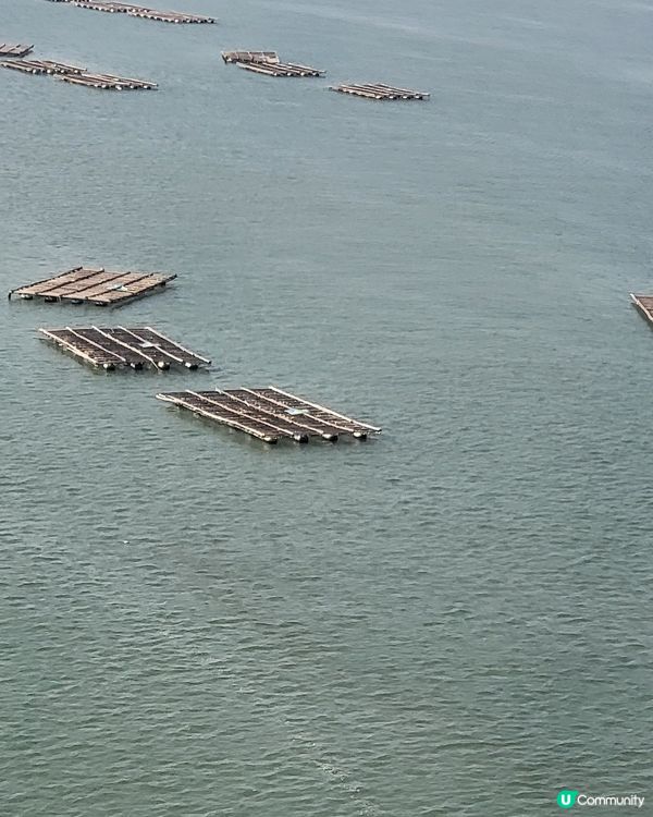 深圳灣公路大橋