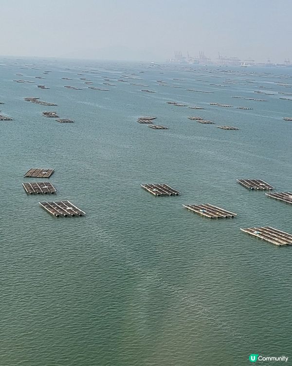 深圳灣公路大橋