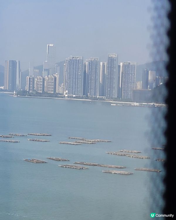 深圳灣公路大橋