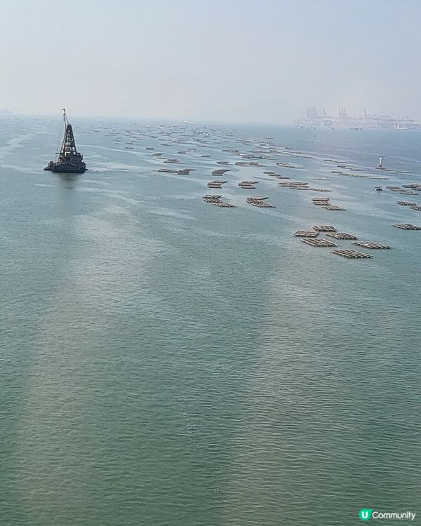 深圳灣公路大橋