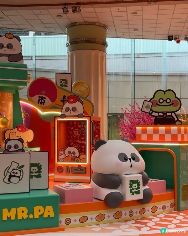 呢隻熊貓好可愛