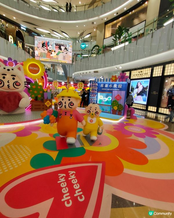 Moko，厚面抱抱節打卡點登場！🥰