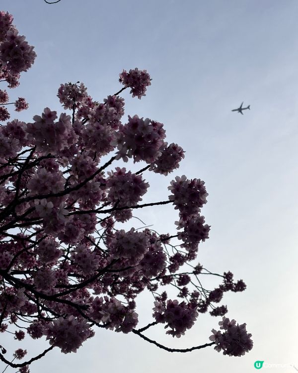 第一次唔係同屋企人去旅行，但係都可以好enjoy🤍✨