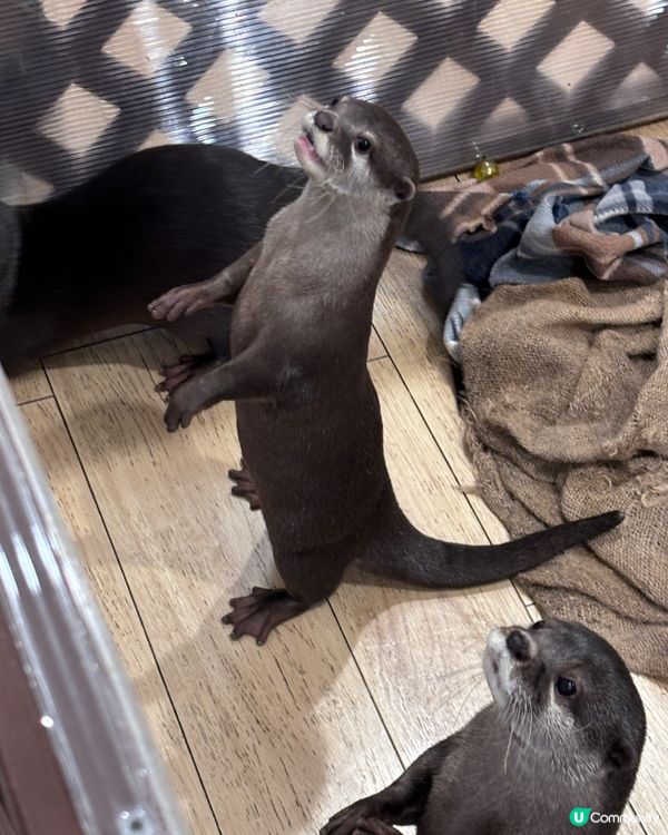 第一次唔係同屋企人去旅行，但係都可以好enjoy🤍✨