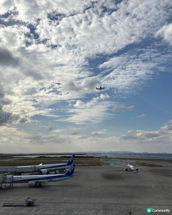 日本｜Mister Donut|五色雜錦波堤🧡🩵🩷