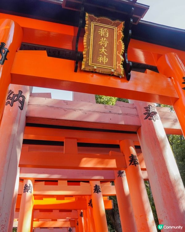 【京都｜伏見稻荷大社、伏見稻荷參道商店街】