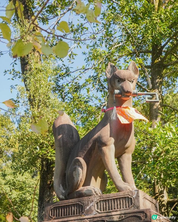 【京都｜伏見稻荷大社、伏見稻荷參道商店街】