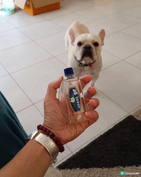 毛毛話 “一陣阿婆味“