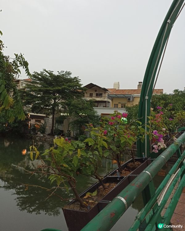 ## 大梅沙🏖️  2日遊記  😎