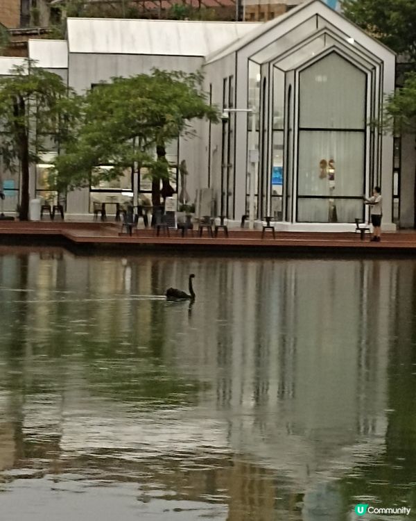 ## 大梅沙🏖️  2日遊記  😎