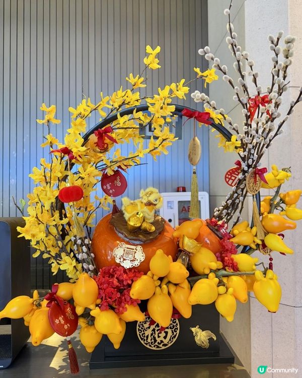 💮《五代同堂》@NFP💮