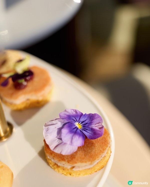 香港喜來登酒店聯乘 Valrhona 的下午茶】