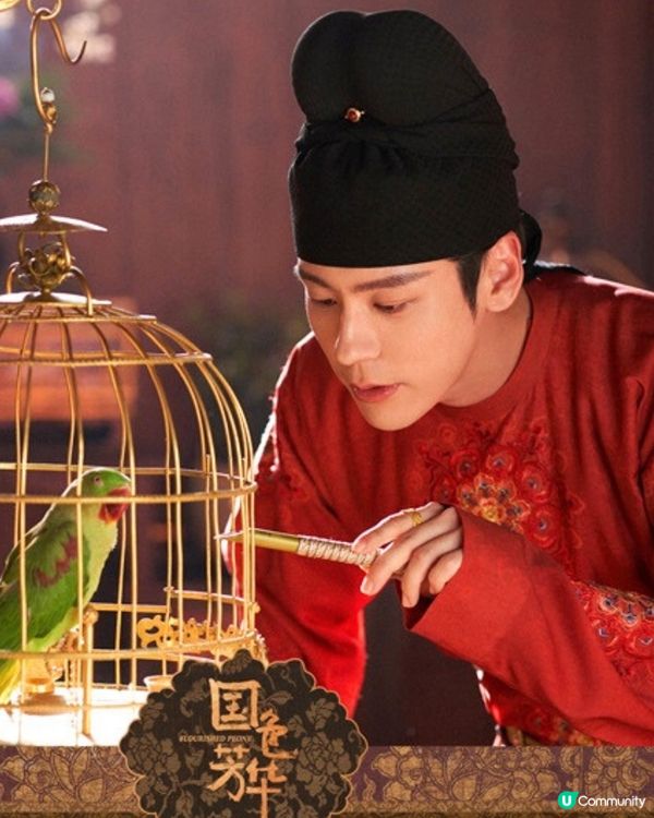 國色芳華更新時間+追劇日曆！楊紫李現新劇4大必睇看點