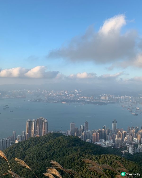 站在天空中俯瞰整個維港😎香港最美打卡位