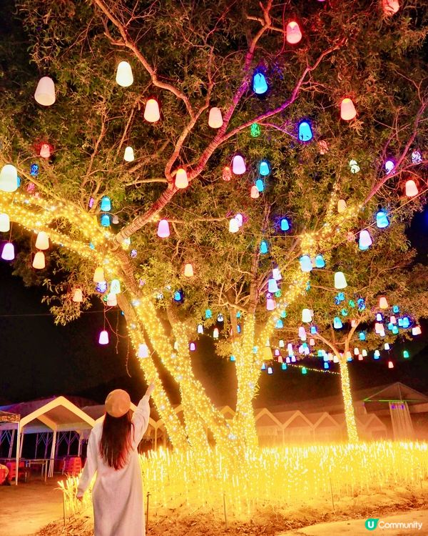 [香港打卡秘境🌟]美炸了的首屆｢奇幻光影節💡｣正式登場💗打卡...