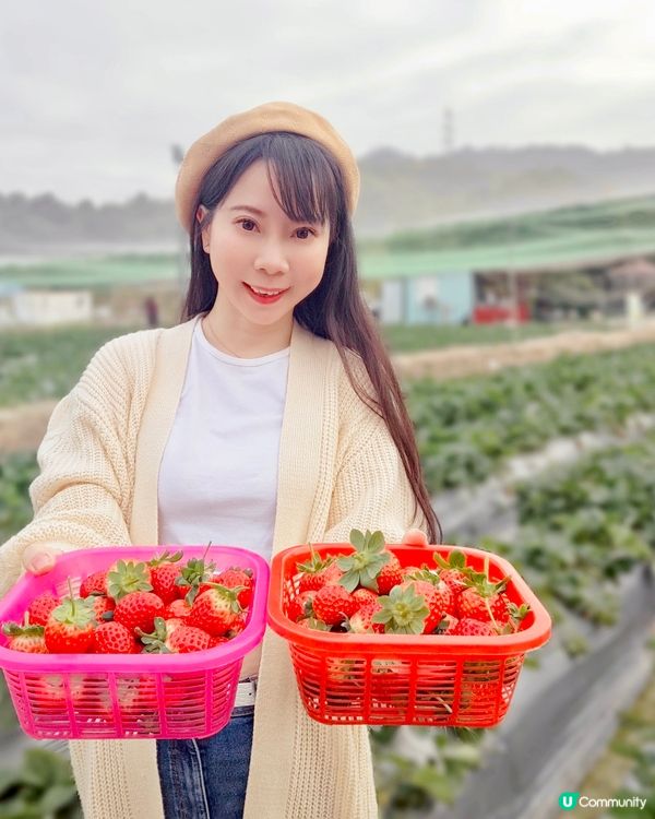 [香港打卡秘境🌟]美炸了的首屆｢奇幻光影節💡｣正式登場💗打卡...