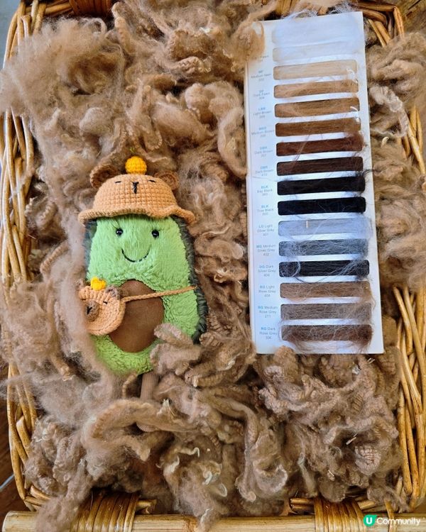 任摸唔嬲嘅草泥馬🦙🦙🦙