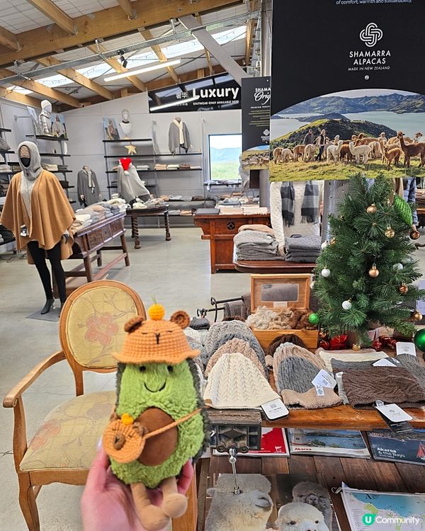 任摸唔嬲嘅草泥馬🦙🦙🦙