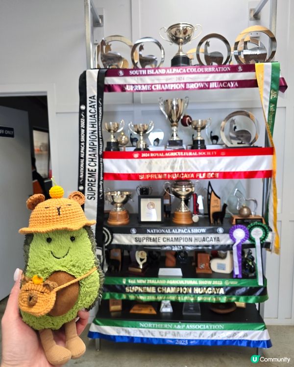 任摸唔嬲嘅草泥馬🦙🦙🦙