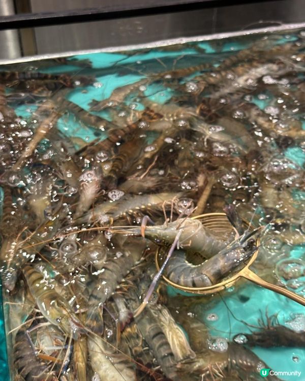 人氣海鮮火鍋放題$338起，超抵食呀👍🏻