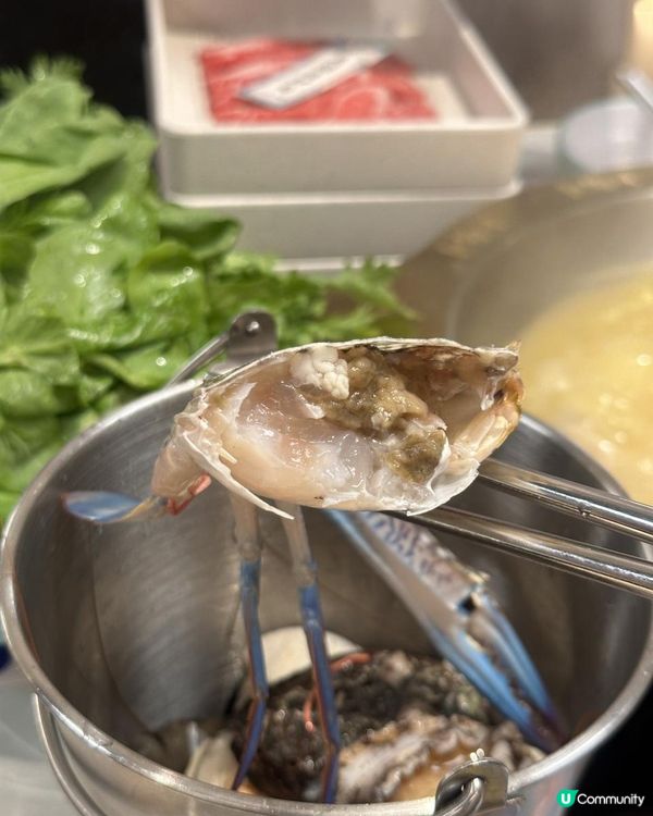 人氣海鮮火鍋放題$338起，超抵食呀👍🏻