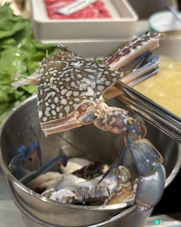 人氣海鮮火鍋放題$338起，超抵食呀👍🏻