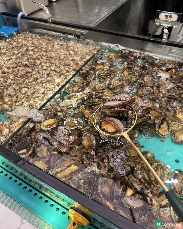 人氣海鮮火鍋放題$338起，超抵食呀👍🏻