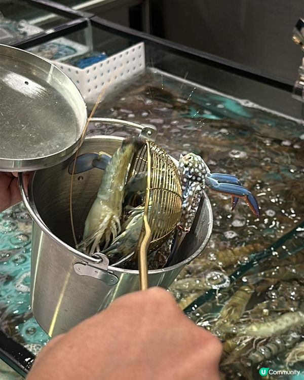 人氣海鮮火鍋放題$338起，超抵食呀👍🏻