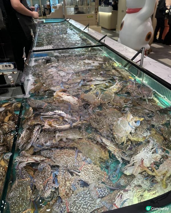 人氣海鮮火鍋放題$338起，超抵食呀👍🏻