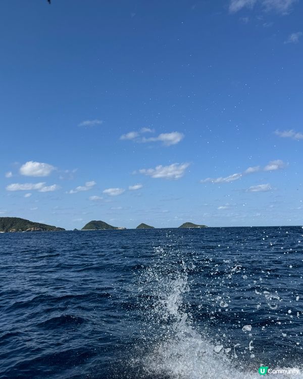 ## 冬遊日本❄️🌊 潛水賞鯨🐳
